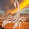Realistic Skeleton Scorpion with Durable Injection Plastic 9 Inches Long